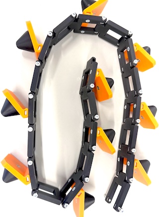 Orange and black belt